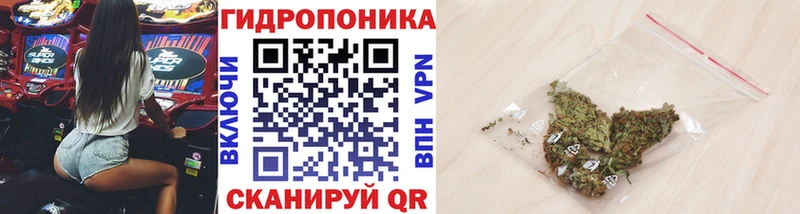 Какие есть наркотики Когалым Псилоцибиновые грибы  МДМА  Альфа ПВП  Гашиш  МЕФ  COCAIN  Бошки Шишки 