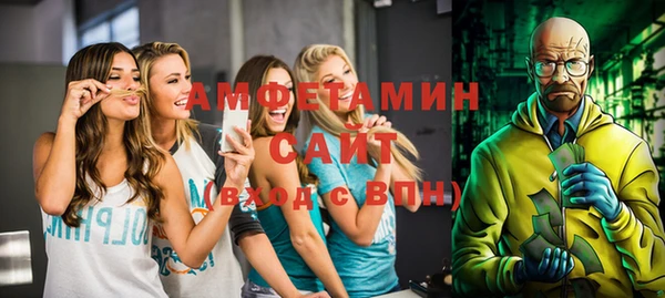 гашик Алексин
