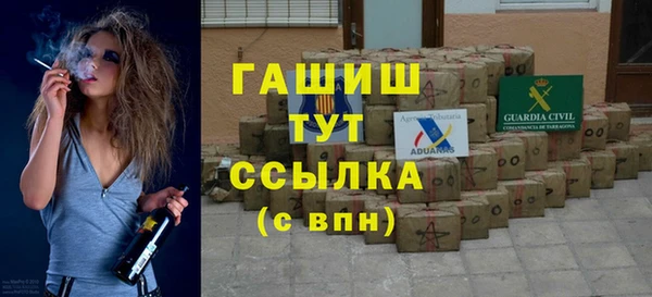 гашик Алексин