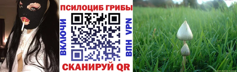 Псилоцибиновые грибы Psilocybe  Когалым 